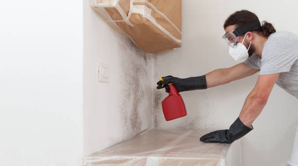 Professional Mold Remediation technician working in Prides Crossing, MA
